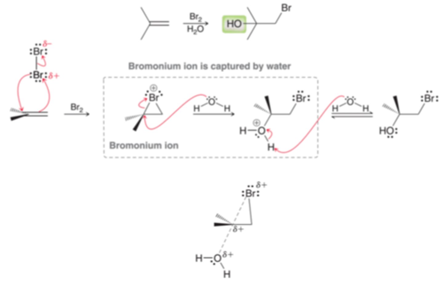 <p>The OH is generally positioned at the more substituted position(1st example in image). In a halohydrin formation reaction, the positive charge is passed from one place to another. It begins on the bromine atom and ends up on the oxygen atom(2nd example in image). In order to do so, the positive charge must pass through a carbon atom in the transition state(3rd example in image). The transition state for this step will bear a partial carbocationic character and the more substituted carbon is more capable of stabilizing the partial positive charge and as a result, the transition state will be lower in energy when the attack takes place at the more substituted carbon atom</p>