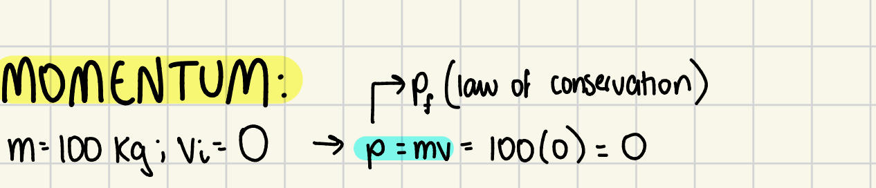 <p>quantification of how much movement a mass has; p = mv </p>