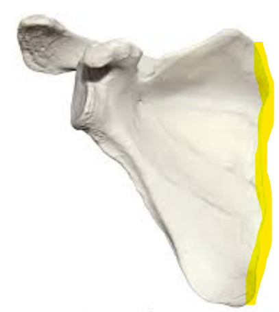 <p></p>