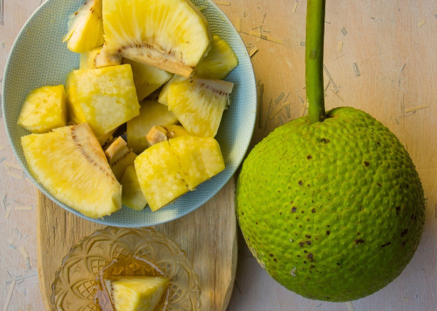 <ul><li><p>sustainable alternative </p></li><li><p>health benefits</p></li><li><p>climate resilience </p></li><li><p>edible, medicinal, industrial uses</p></li><li><p>cultural significance: symbol of life and abundance </p></li><li><p>poleynesian</p></li></ul><p></p>