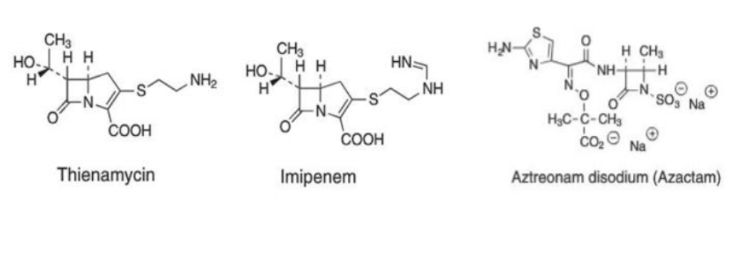 <p>s removed from ring, moved to functionalized group on C3</p><p>-monobactam: ring fused to b lactam removed</p>