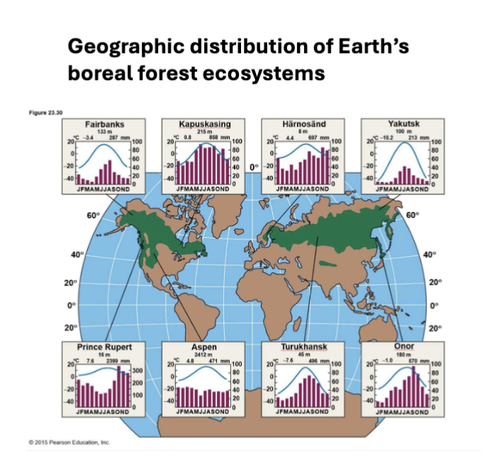 <p>cold, long winters, short summers, about 6-10 wks warm enough to photosynthesize; primarily occupies formerly glaciated land; as temp decreases and growing seasons shorten toward Arctic, trees become fewer, shorter, and more widely spaced</p>