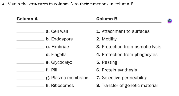 <p>C</p>