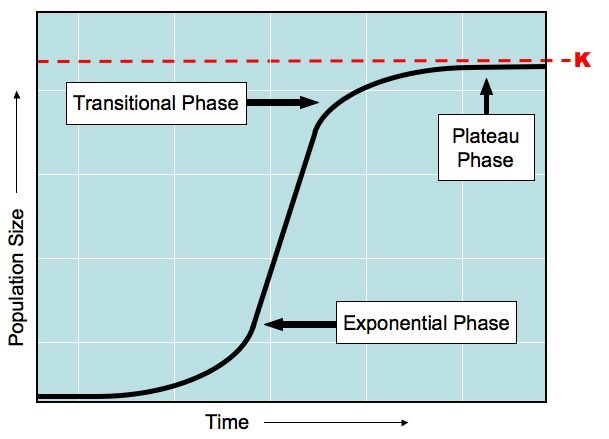 <p>exponential growth (ex.: colonizing populations - roaches)</p>