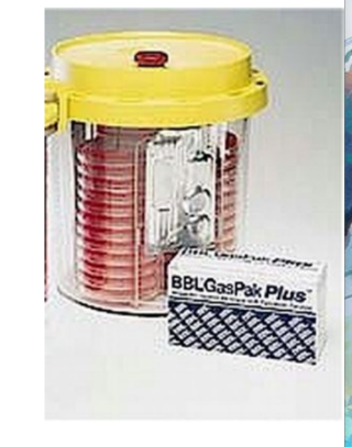 <ul><li><p>tablets in pouch</p><ul><li><p>citric acid with Na bicarbonate</p></li><li><p>Na borohydrate with cobalt chloride</p></li><li><p>add water</p></li></ul></li><li><p>generates CO2 + H2 which combines with ambient O2 → H2O </p></li></ul><p></p>