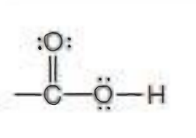 <p>Name the functional group</p>