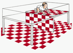 Babies between 6.5 and 12 month of age were reluctant to crawl over the "cliff" edge, even when called by their mothers, suggesting that they perceived the drop created by the check pattern.