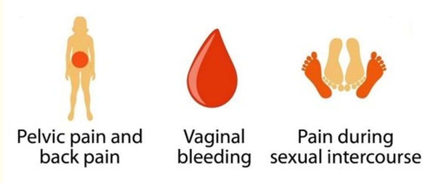 <p>- Asymptomatic</p><p>- Irregular vaginal bleeding +/- foul-smelling discharge</p><p>- Pain during sex</p><p>- Pelvic pain/back pain</p><p>For more widespread cancers...</p><p>- Back pain</p><p>- Leg swelling </p><p>- Obstructive uropathy</p>