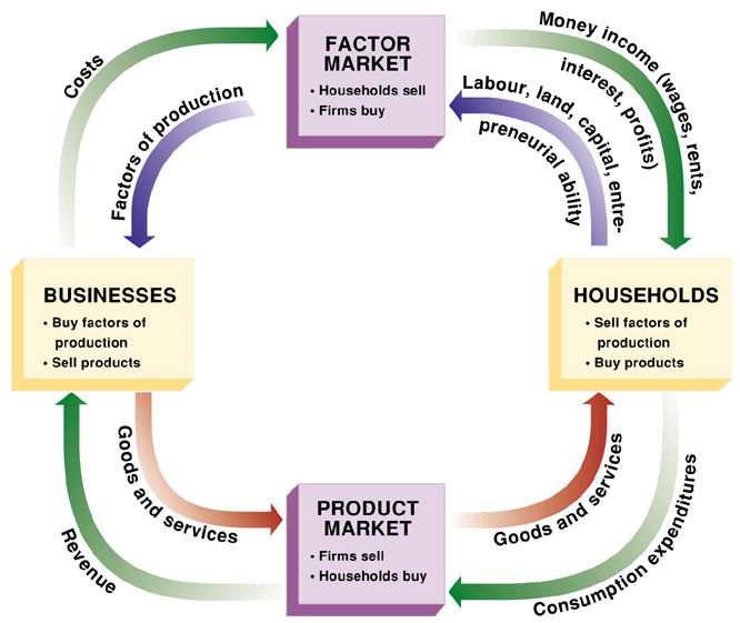 <p>model how the economy is organized and how participants interact</p><ul><li><p>outer arrow is the flow of dollars, inner arrows, flow of inputs and outputs</p></li><li><p>two markets: goods and services and factors of production</p></li><li><p>two groups of people: households and firms</p></li></ul>