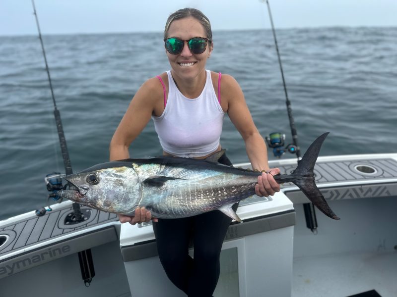 <p>Oblique pale lines and spots on the lower sides</p><p>anal fin has a dark margin</p><p>short pectoral fins</p><p>Finlets are dusky yellow with a dark margin</p><p>metallic blue to blakc then silver colore</p>