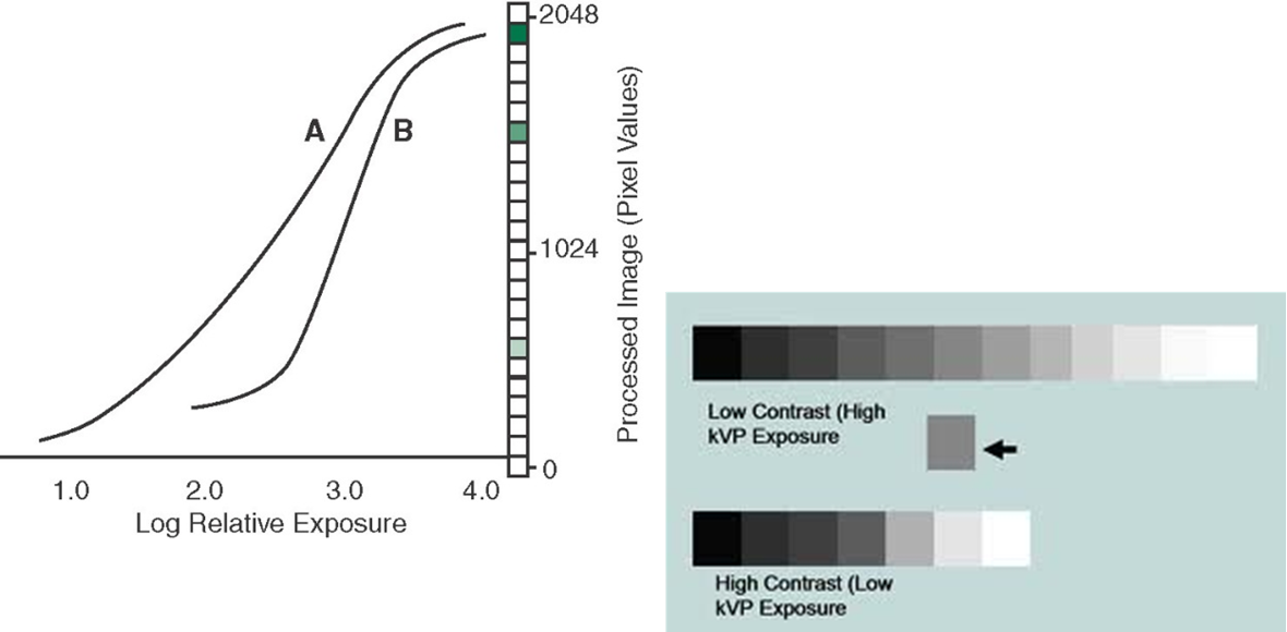 <p><span>• When the “body” portion of the gray-scale curve&nbsp; is shallow, A, long gray scale; low contrast is indicated</span></p><p><span>•When it is steep, B, short gray scale; high contrast image is indicated<br></span></p>