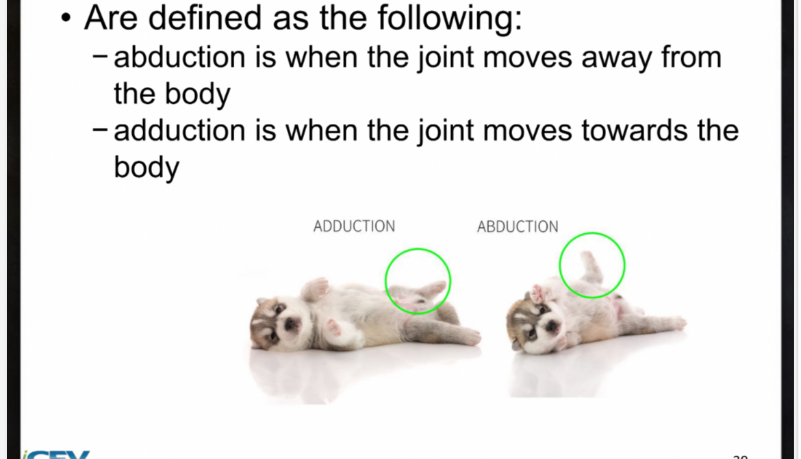 <ul><li><p>﻿﻿abduction is when the joint moves away from the body</p></li><li><p>﻿﻿adduction is when the joint moves towards the body</p></li></ul><p></p>