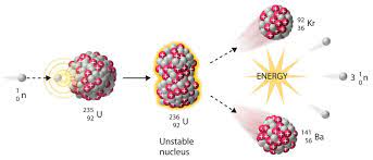 <ul><li><p>a thermal neutron is absorbed by the nucleus of a fissile atom (e.g. uranium-235)</p></li><li><p>2 to 5 high-speed neutrons are released - if slowed, these could go on to be absorbed by other nuclei causing further fission reactions - a chain reaction</p></li></ul>