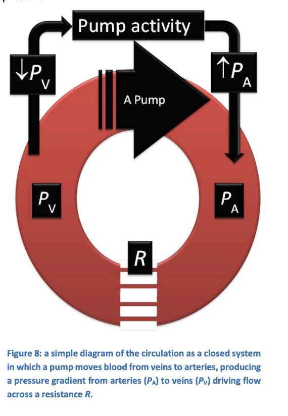 <ol><li><p>Imagine the mean pressure was0</p></li><li><p>Implies that Pv would become<strong> negative</strong>&nbsp;as soon as the pump started and prevent any flow of blood</p></li></ol><p></p><p><em>next</em></p><ol><li><p>IMagine the mean pressure was 10mmHg</p></li><li><p>now it is possile for pumping to produce a significant arterio-veous pressure gradient<strong> without</strong>&nbsp;collpasing the veins</p></li></ol><p></p>