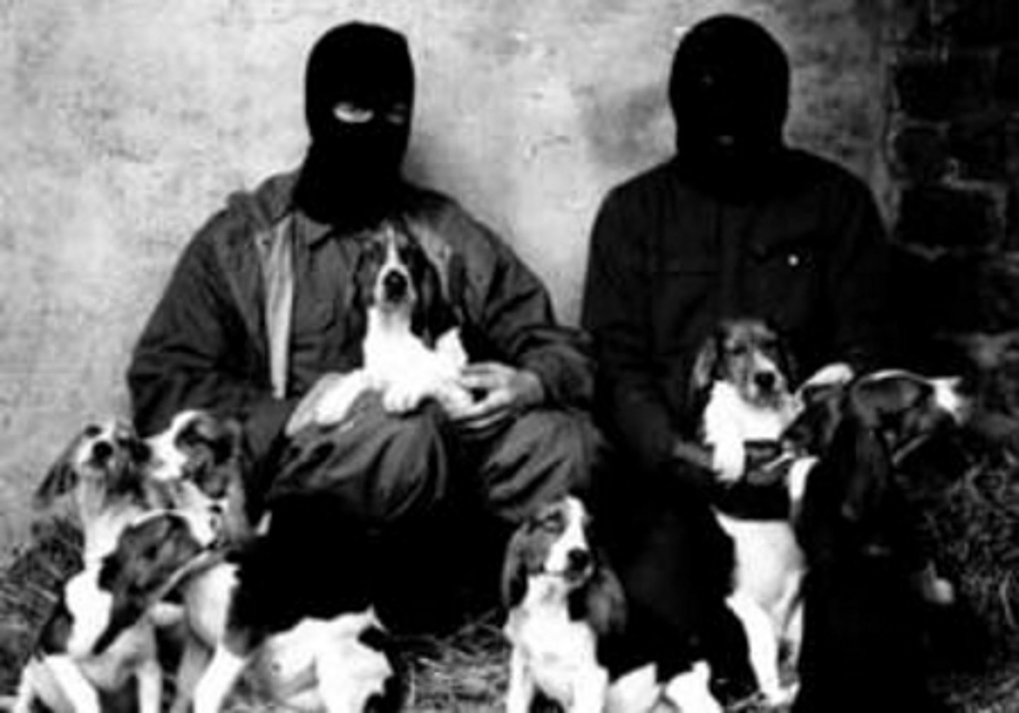 <p>Also known as 'single-issue' or 'special interest' terrorism; Terrorism acts or groups in response to social issues</p><p>e.g., Animal Liberation Front (1990)</p>
