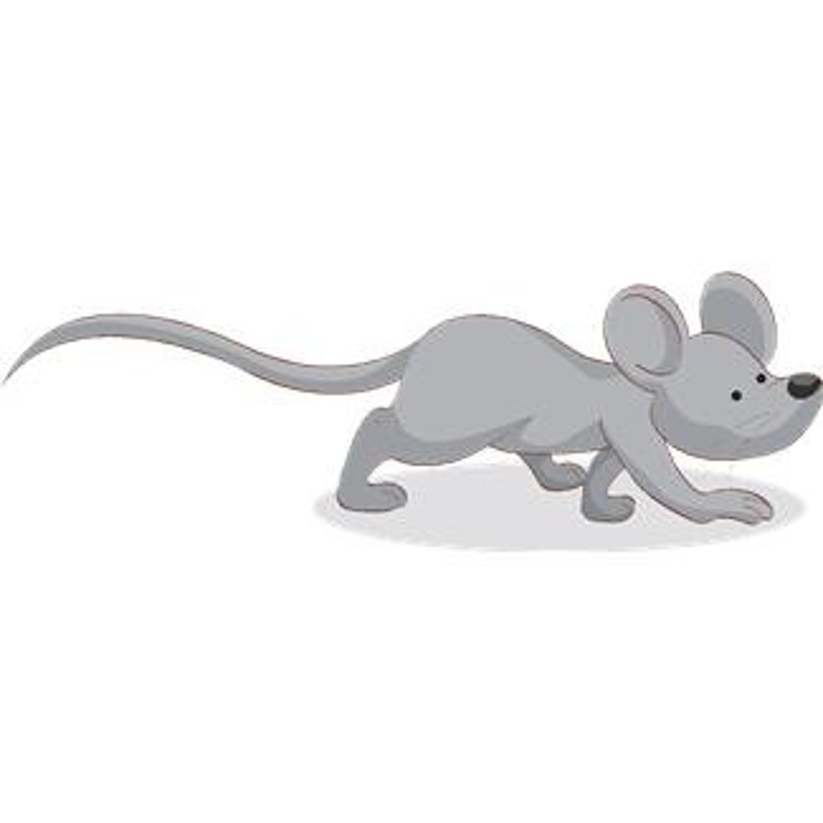 <p>grey</p>