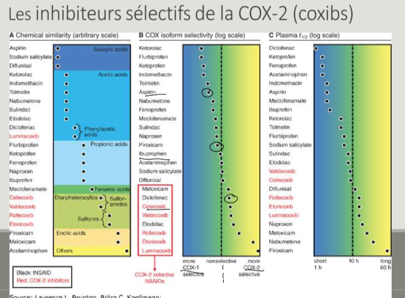 <ul><li><p>inhibition COX1</p><ul><li><p>aspirine, ibuprofène</p></li></ul></li><li><p>inhibition COX2</p><ul><li><p>celecoxib</p></li></ul></li></ul><p></p>