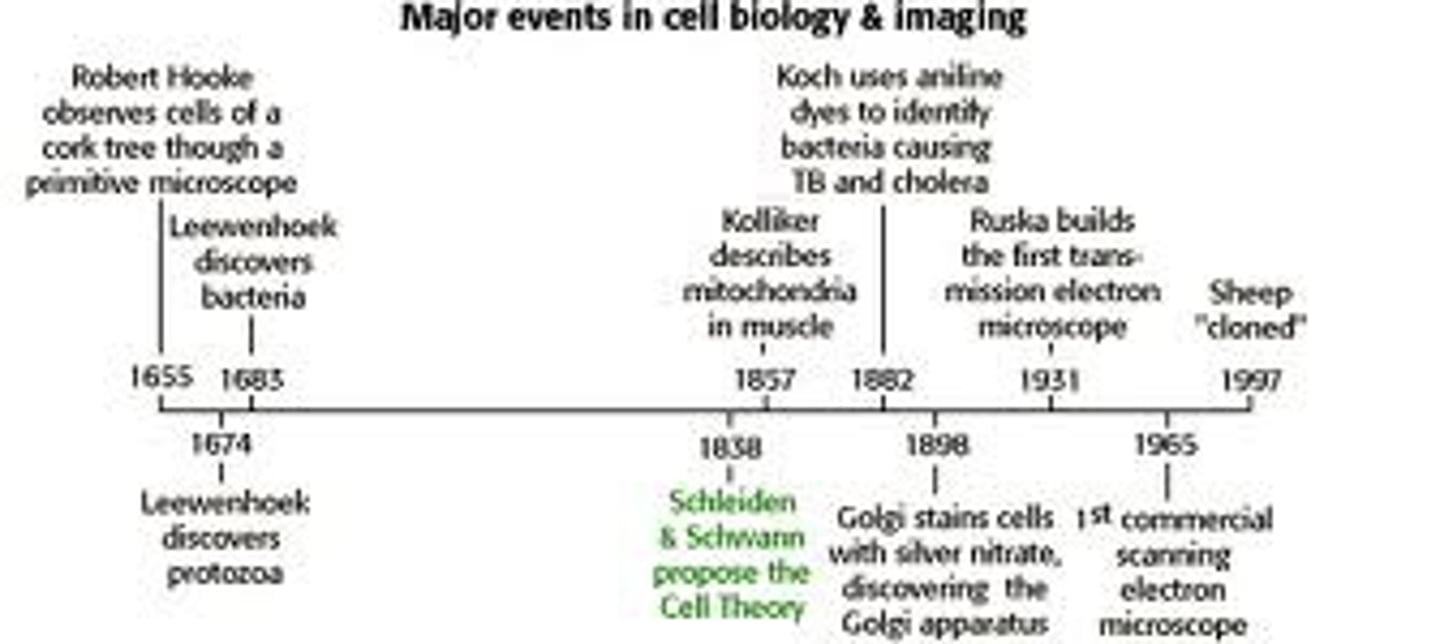 <p>Three parts -</p><p>A. ALL organisms are made up of</p><p>one or more cells.</p><p>B. BASIC unit of life.</p><p>C. CELLS come from other living</p><p>cells</p>