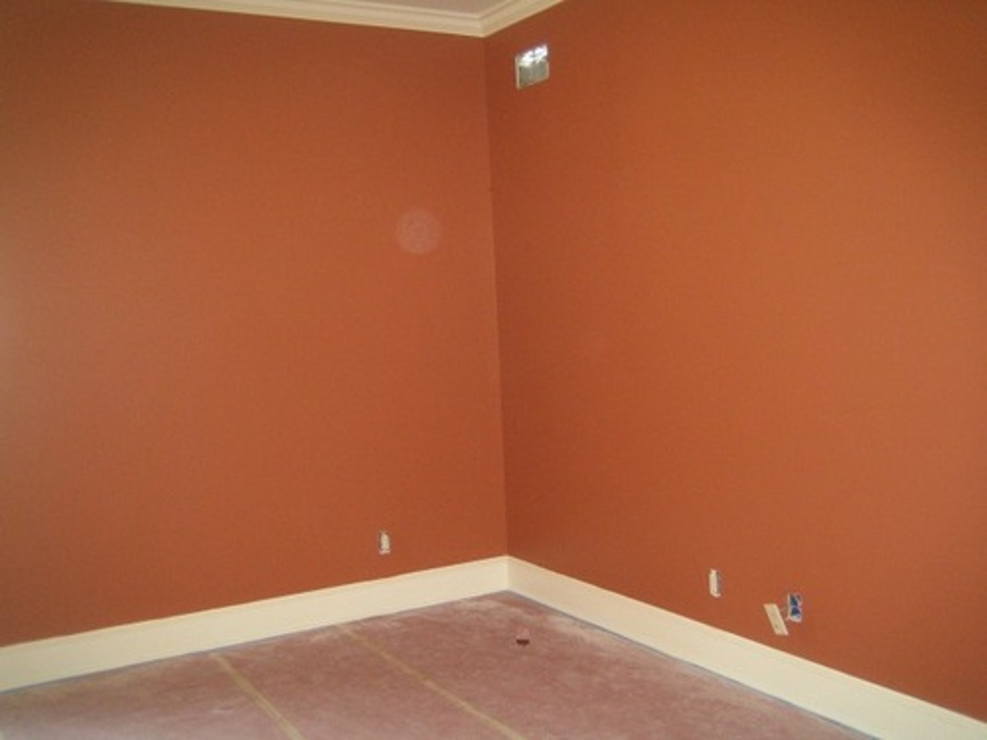 <p>wall</p>