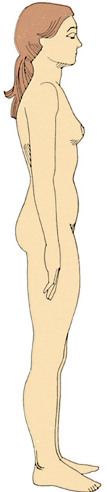 <p>HEIGHT / WEIGHT MEASUREMENT; POSTURE (SPINE), GAIT &amp; BALANCE</p>