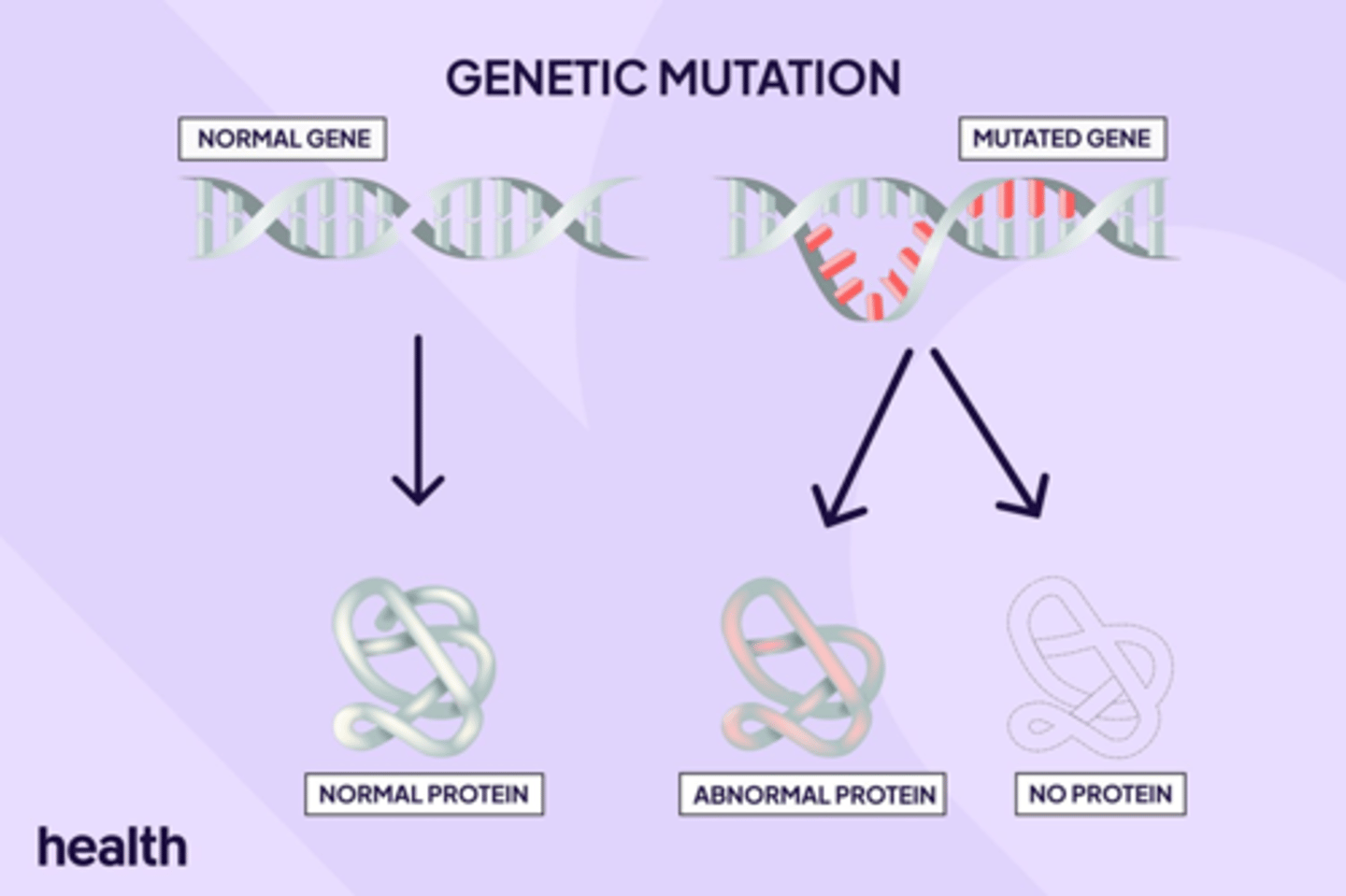 <p>A change in the sequence of nitrogenous bases in the DNA</p>