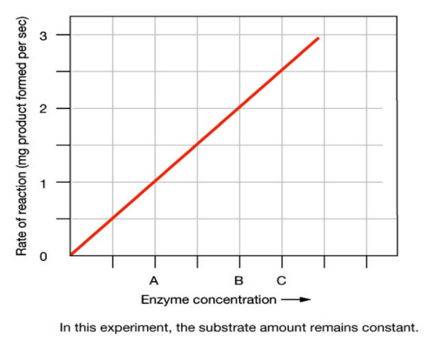 <p>As enzyme concentration increases and the substrate concentration stays the same the number of active sites exceeds the number of substrate molecules so the rate of reaction will increase.</p>