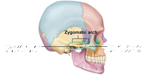 <p>the zygomatic bone is really only the front part of your cheek; the zygomatic arch describes where the temporal and zygomatic bone meet in that arch. The zygomatic process is considered part of the temporal bone.</p>
