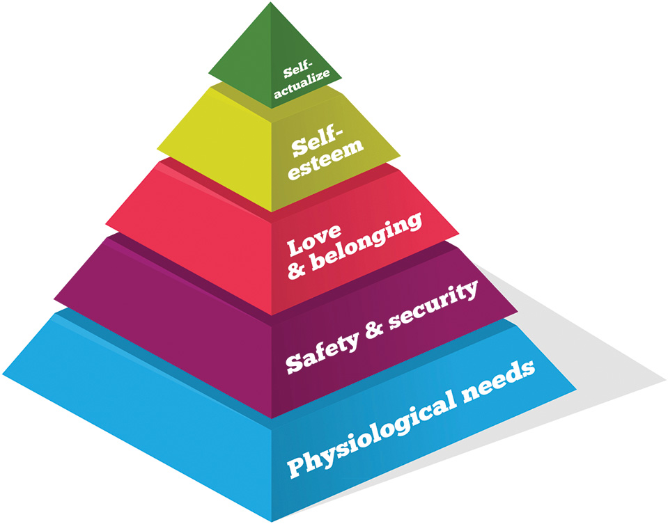 <p>Maslow's Hierarchy of Needs</p>