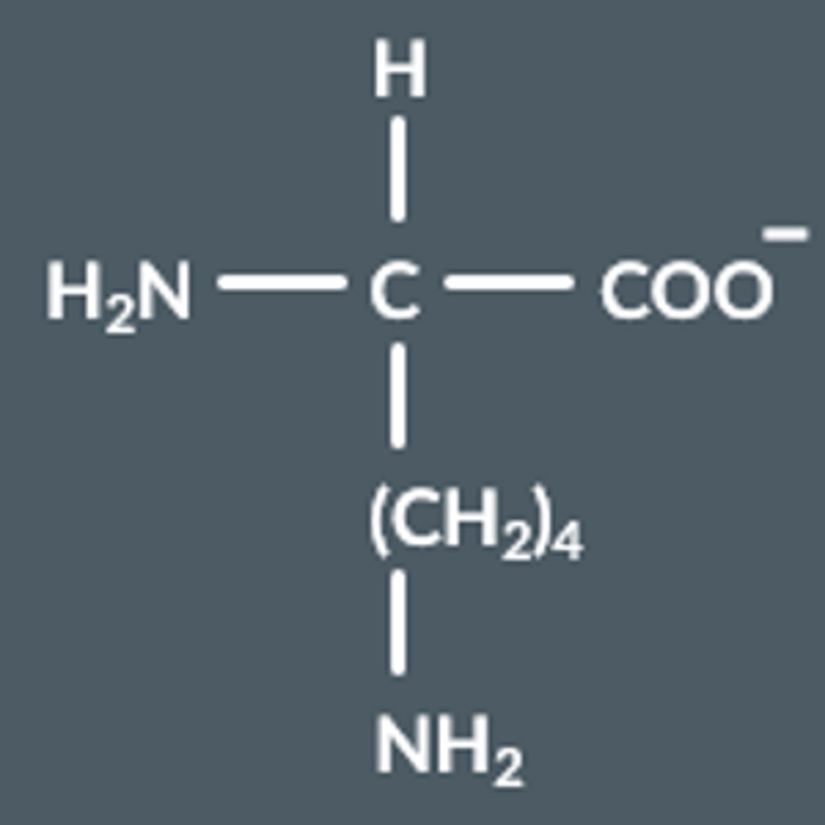 <p>COOH groups lose a proton, becomes COO⁻</p>