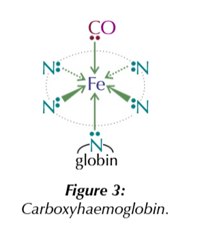 <p>forming carboxyhaemoglobin</p>
