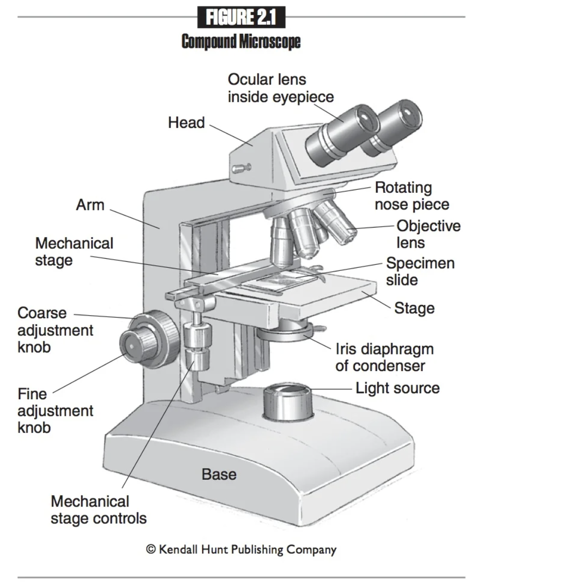 <p>High power objective lens</p>
