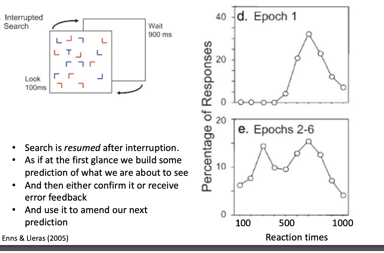 <p>Premise is that an image is repeatedly flashed on the screen, process of search goes as follows. </p><ul><li><p>Search is resumed after interruption.</p><ul><li><p>epoch 1 is first glance</p></li><li><p>epoch 2 is the second glance </p><ul><li><p>the reaction time starts at a higher value because you know where the t is, from the first glance</p><ul><li><p>the two peaks go as follows </p></li><li><p>first peak is from the fact that their initial prediction was correct </p></li></ul></li><li><p>Second peak occurs due to the fact that they happen to be in the right spot </p></li></ul></li></ul></li><li><p>As if at the first glance we build some prediction of what we are about to see</p></li><li><p>And then either confirm it or receive error feedback</p></li><li><p>And use it to amend our next prediction</p></li></ul><p></p>