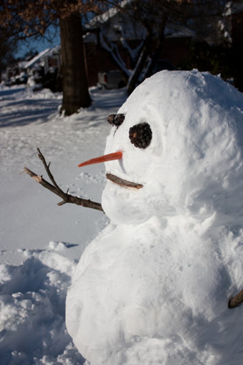 <p>the funny thing that Scout called the snowman when she misunderstood what Atticus and Miss Maudie said about it</p>