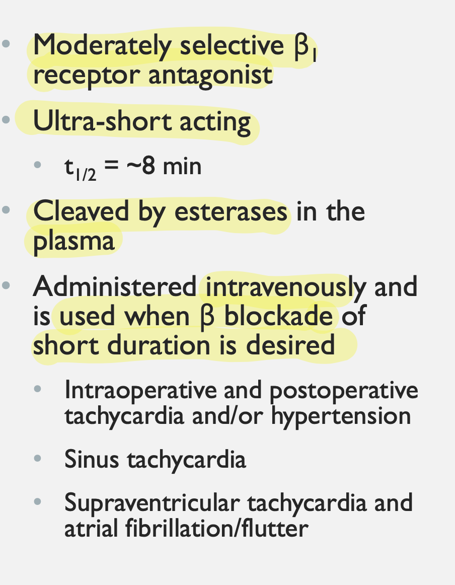 <p>BETA1-SELECTIVE ANTAGONISTS</p><p>(SECOND GENERATION)</p>