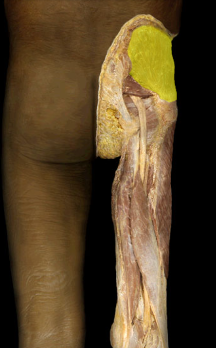 <p></p>