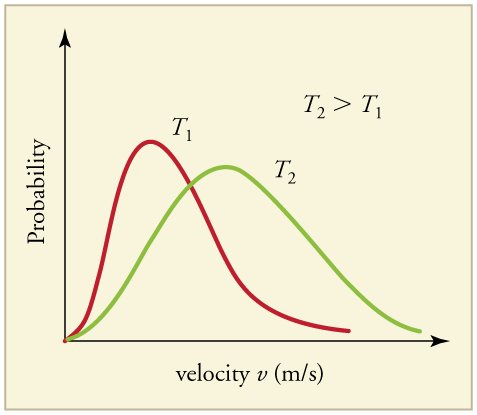 <p>is a graphical representation that shows the distribution of speeds of particles in a gas at a given temperature, illustrating how temperature affects molecular motion and the energy distribution. </p>
