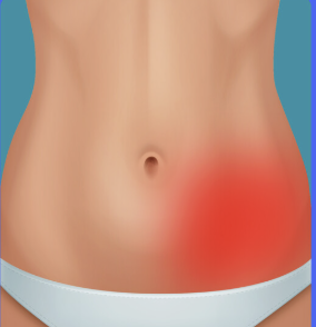 <p>large and small intestines, the left ureter, and in females, the left ovary and Fallopian tub</p>