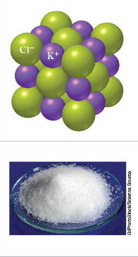 <p>Ionic Bond</p>