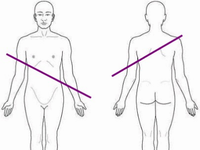 <p>A section cut through an organ at any angle except a right angle.</p>