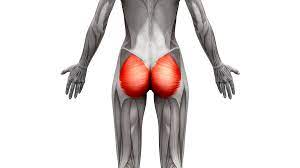 What is the action for Gluteus Maximus?