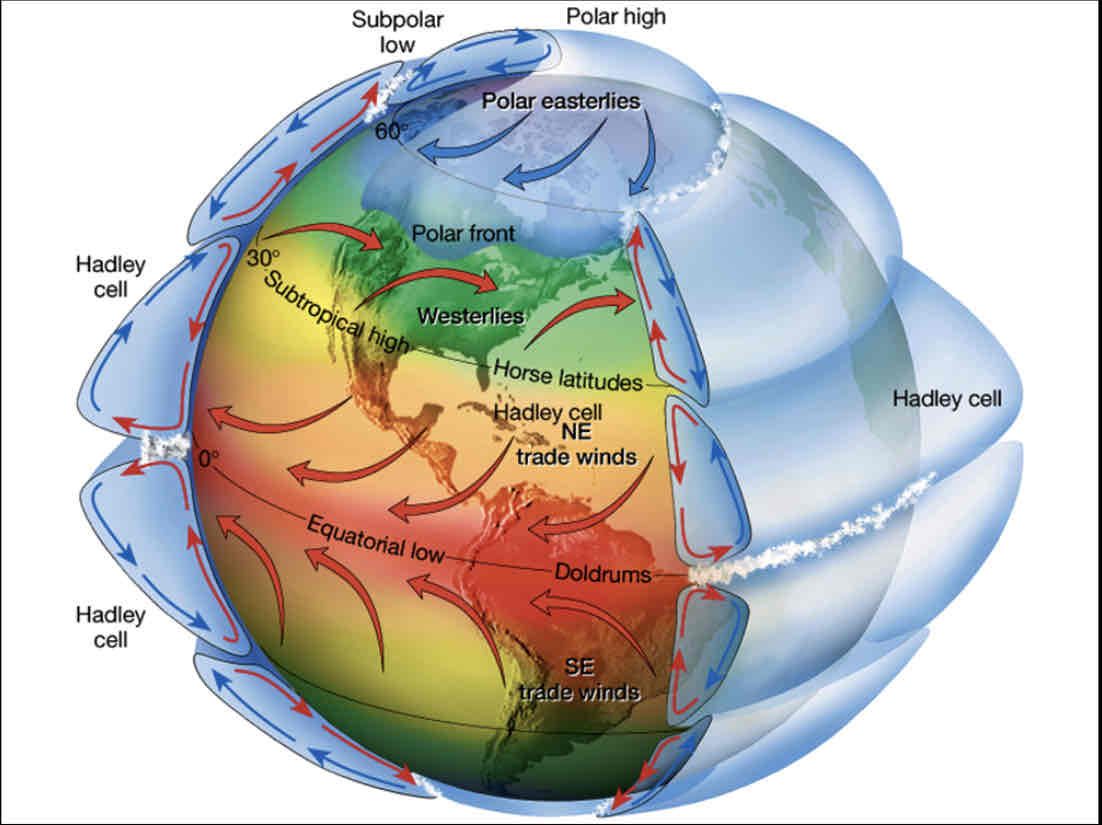 <p>A more accurate, but still idealized model of wind movement that divides hemispheres into a Hadley Cell, a Ferrel Cell, and a Polar Cell</p>