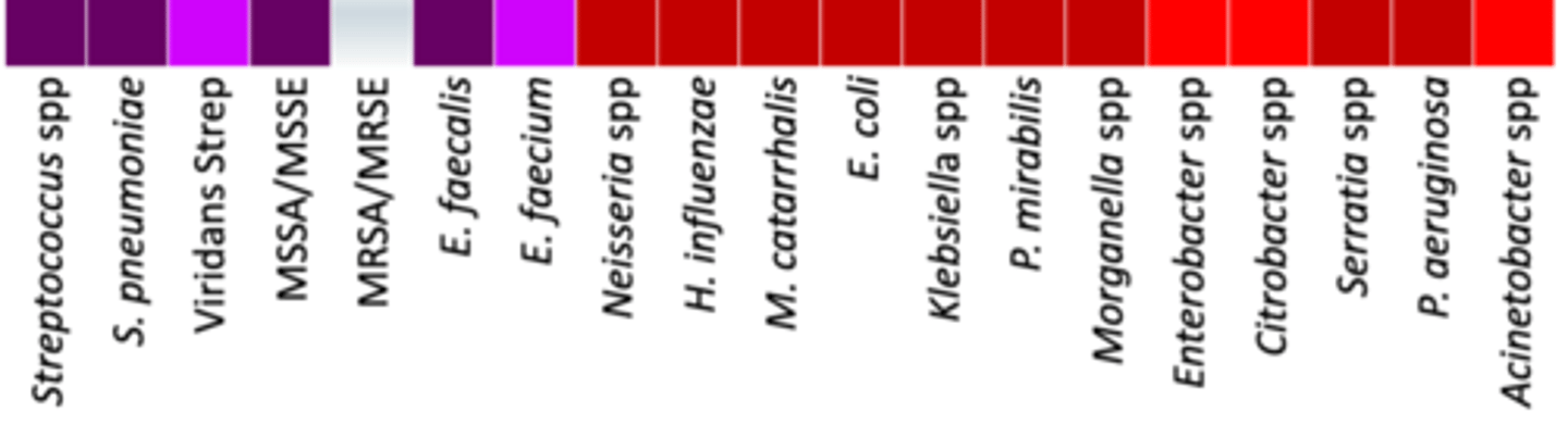 <p>• Anaerobes: +/+ (oral anaerobes/gut anaerobes)</p><p>• Miscellaneous: </p><p>- Variable activity against ESBL and AmpC</p><p>• Coverage - Covers basically everything except doesn’t fully cover Viridans strep, E. faecalis, Enterobacter, Citrobacter and acinetobacter spp and does not cover MRSA /MRSE at all + works on gut anaerobes</p>