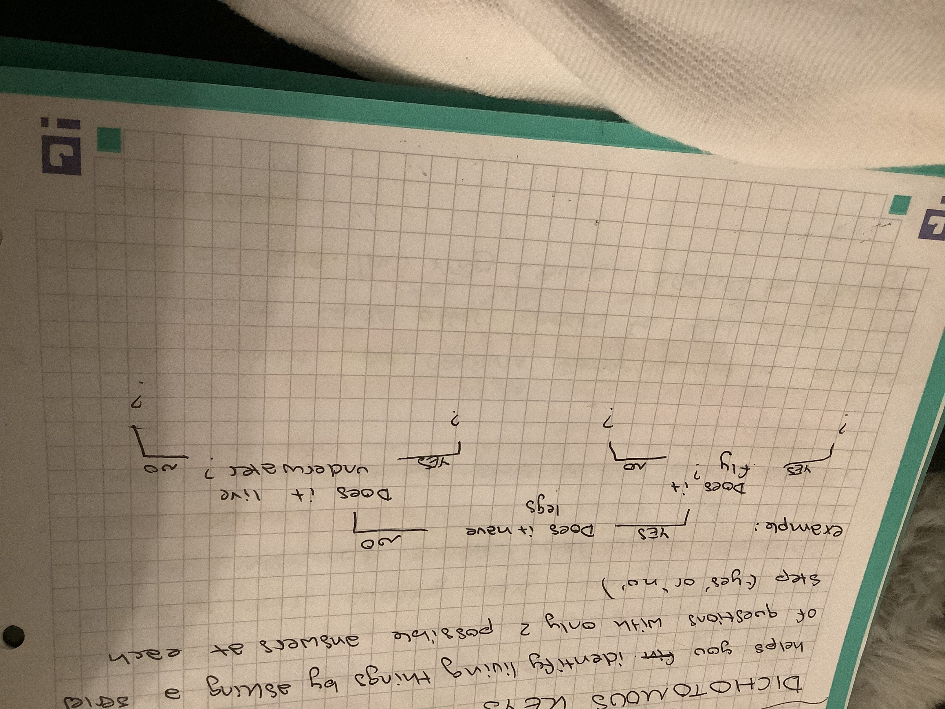 <p>Helps you identify living things by asking a series of questions with only 2 possible answers at each step (like yes or no)</p>