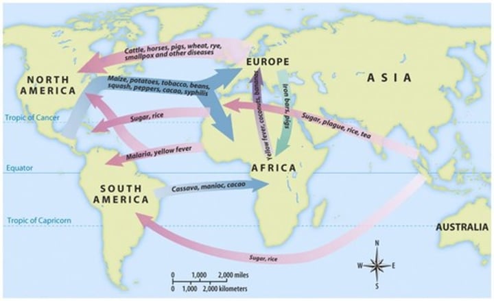 <p>The exchange of plants, animals, diseases, and technologies between the Americas and the rest of the world following Columbus's voyages.</p>