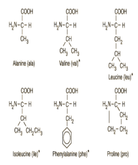 <p>This molecule is an example of_____ which type of building _____ block used to make                                 macromolecules?</p>