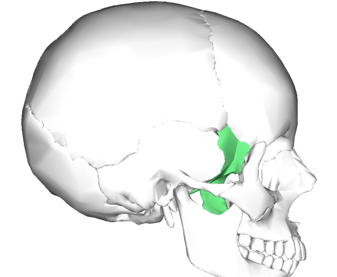 term image