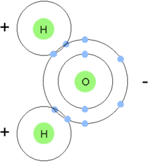 <p>two or more atoms held together by covalent bonds</p>