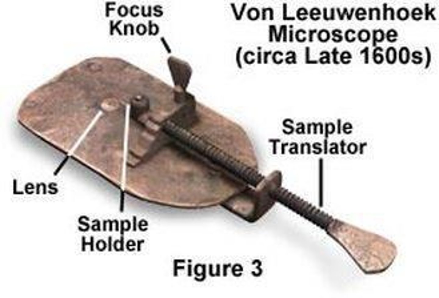 <p>He was the first person to see live cells and made pioneering discoveries on various microorganisms.</p>