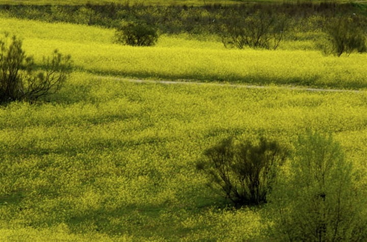 <p>countryside; field</p>