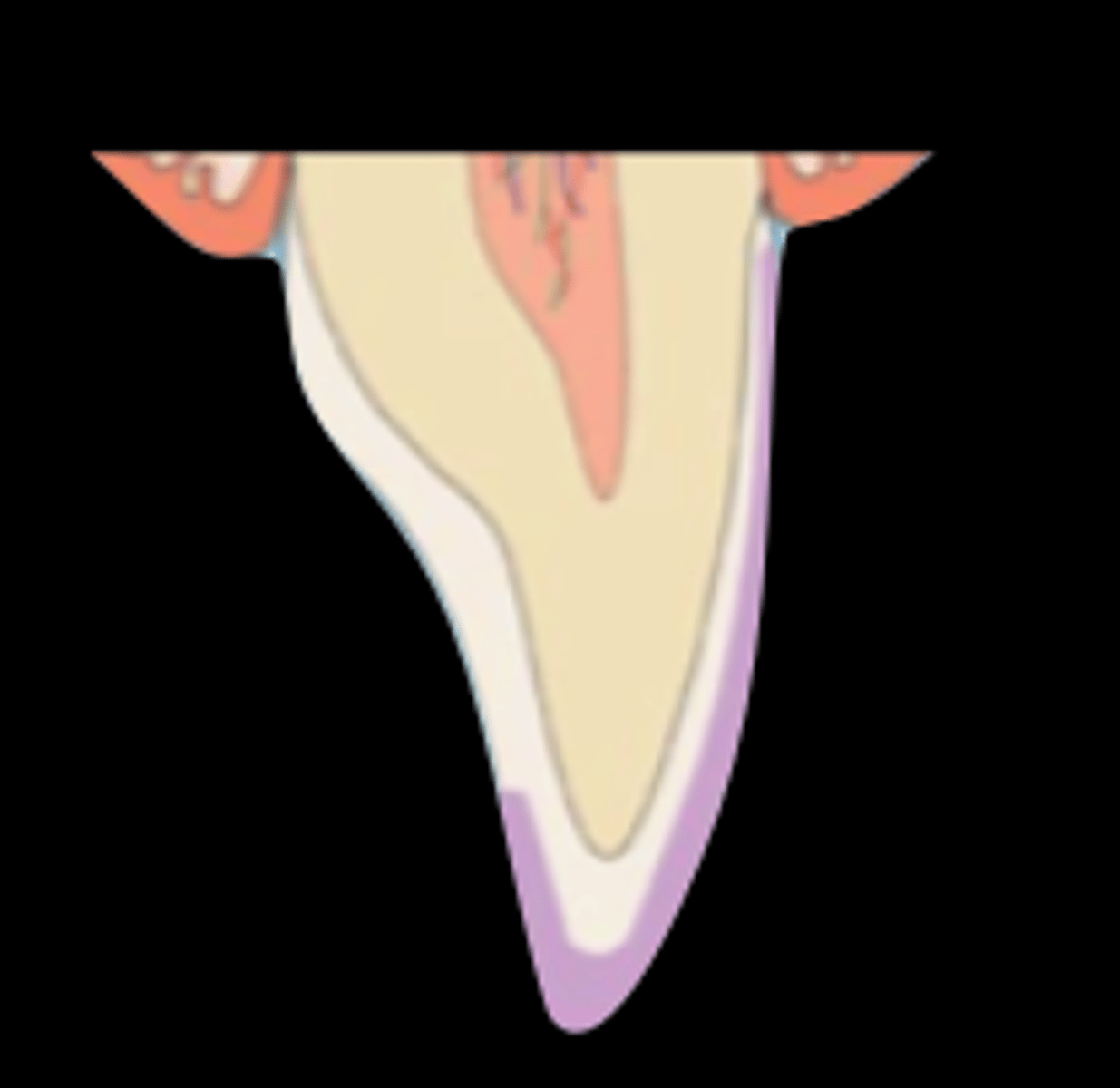 <p>What type of incisal preparation?</p>